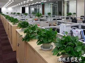 案例 27.jpg