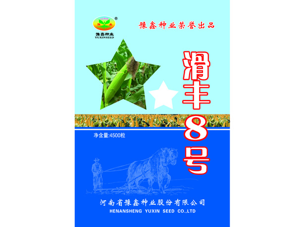 滑丰8号 副本1.jpg
