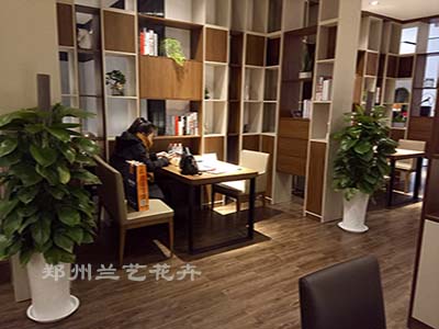 柱绿萝案例1.jpg