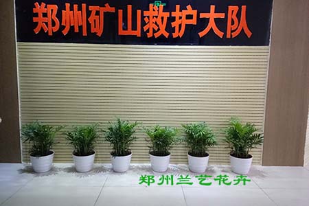 案例.jpg
