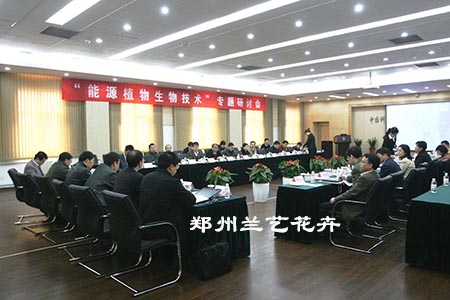 案例0.jpg