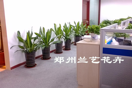 组合案例.jpg