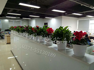 mmexport1495463979330.jpg