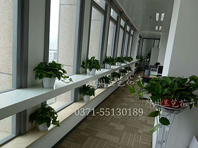 mmexport1495460556663.jpg