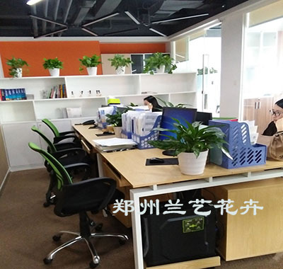 公司案例3.jpg