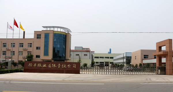 公司大门形象照.JPG