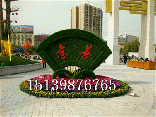 假草.jpg