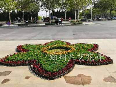 花3.jpg