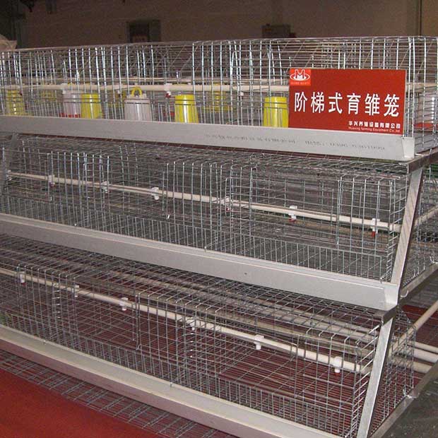 阶梯式育雏笼.jpg 阶梯式育雏笼.jpg