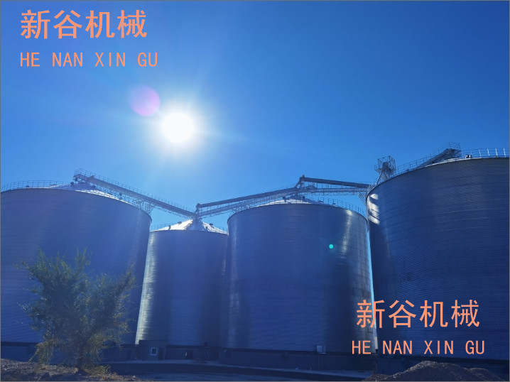 筒倉工程1.jpg