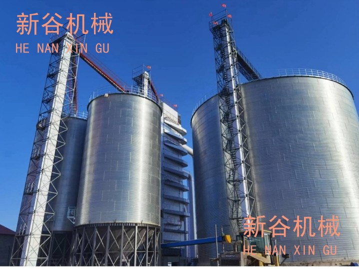 項目案例5.jpg