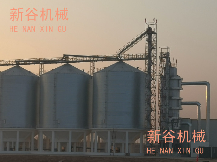 完工后的烘干塔和筒倉(cāng).jpg