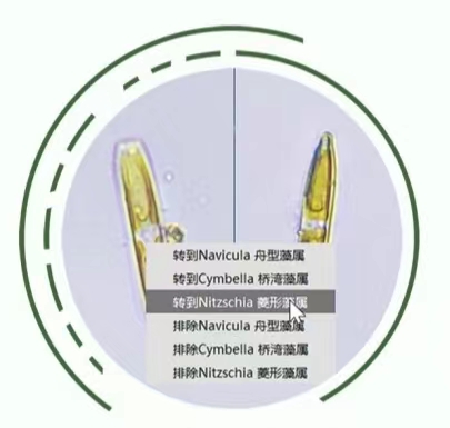 早期辅助软件示意.jpg