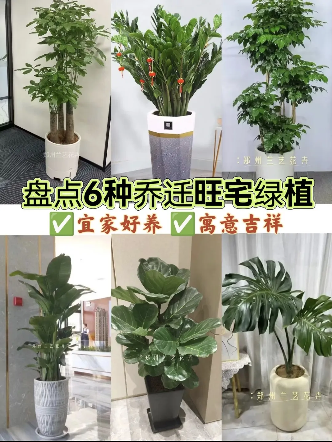 微信圖片_20251111223929_16_137.jpg 微信圖片_20251111223929_16_137.jpg